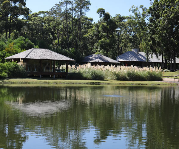 Design Village